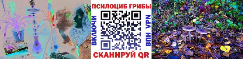 Галлюциногенные грибы ЛСД  Шарья 