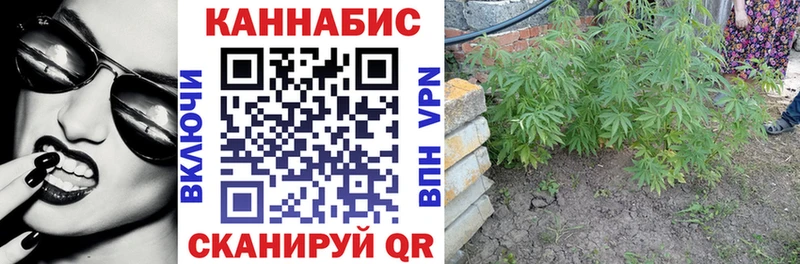 Марихуана индика  цена   hydra tor  Шарья 